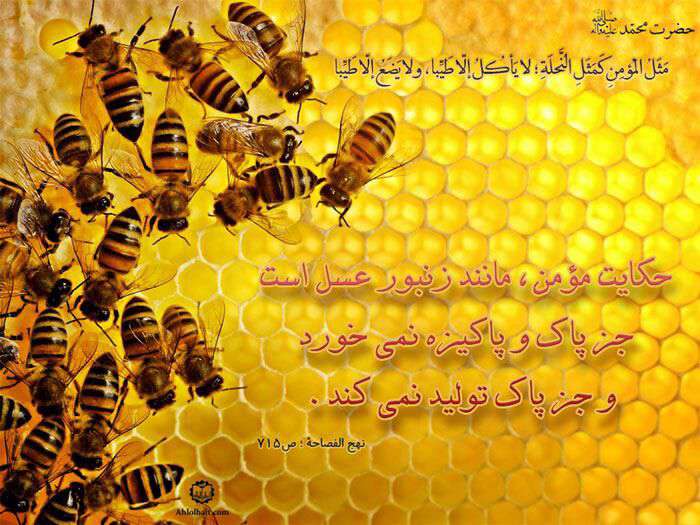 حکایت مومن